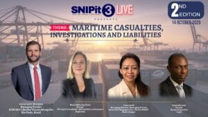 Novedades snipit
